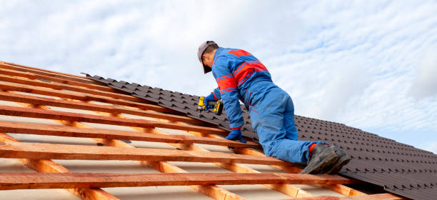 Best Gutter Replacement  in Dumas, AR